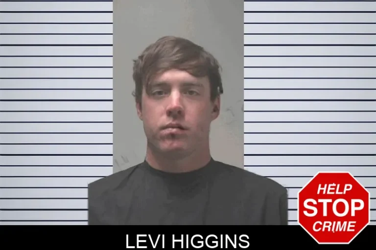 Levi Higgins