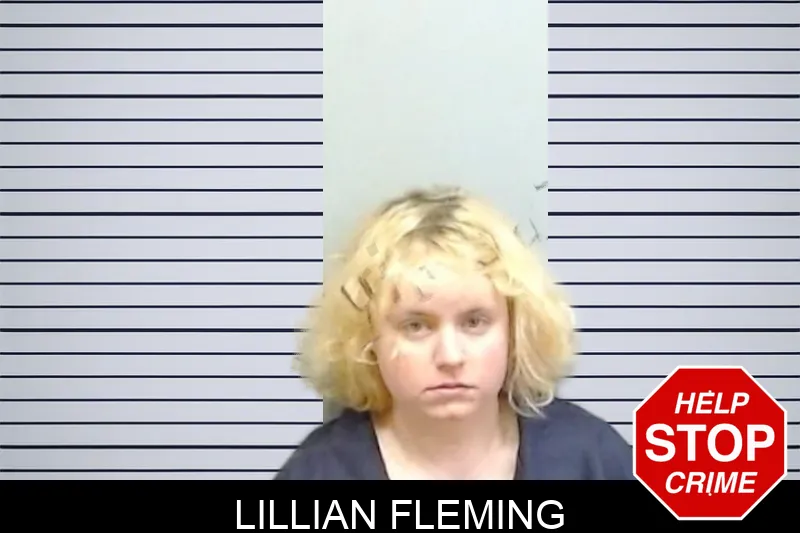 Lillian Fleming mugshot – Fulton County , Georgia Lillian Fleming mugshot