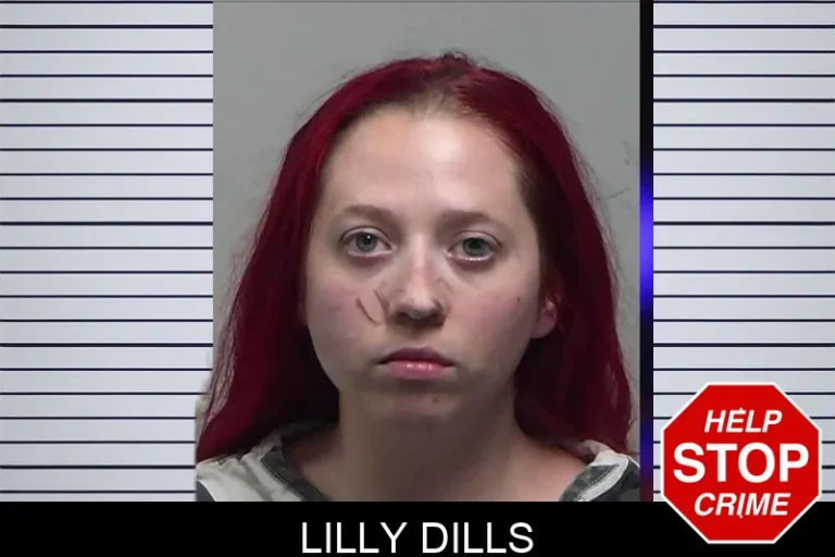 Lilly Dills mugshot – Tift County , Georgia Lilly Dills