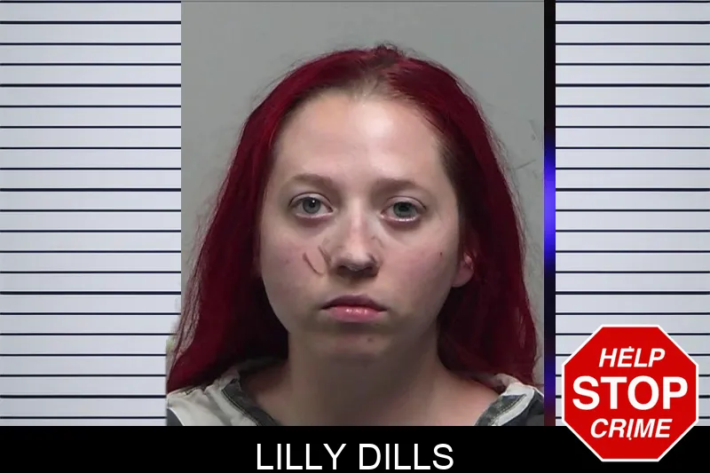 Lilly Dills Mugshots