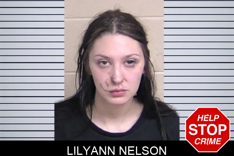 Lilyann Nelson Mugshots