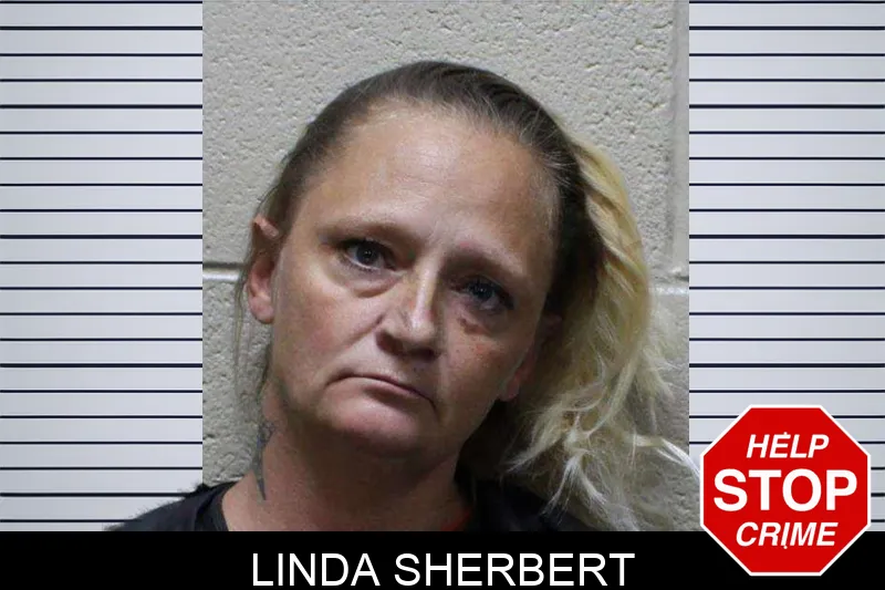 Linda Sherbert mugshot