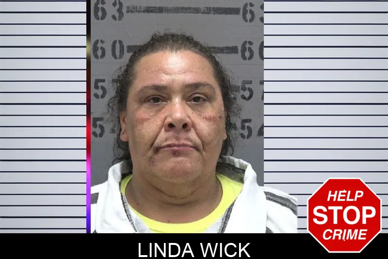 Linda Wick Mugshots