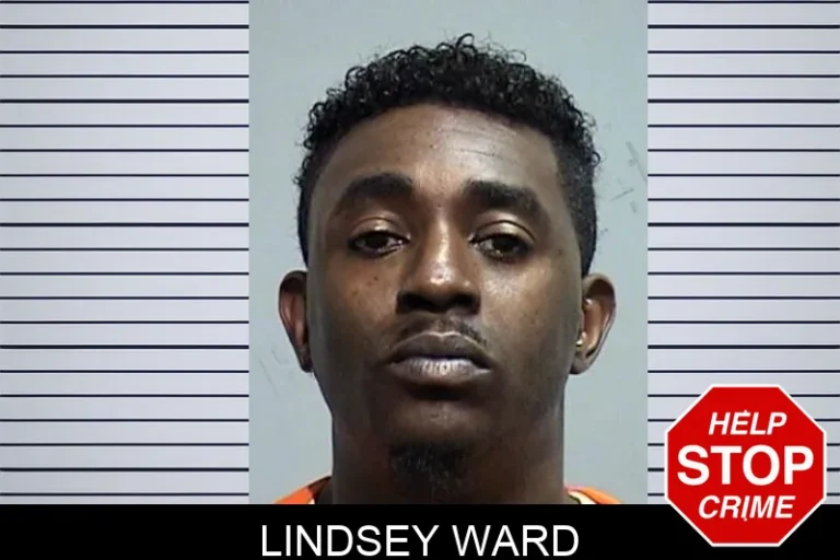 Lindsey Ward mugshot – Effingham County , Georgia Lindsey Ward