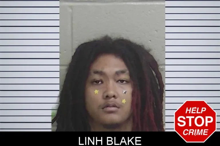 Linh Blake mugshot – Wayne County , Georgia Linh Blake
