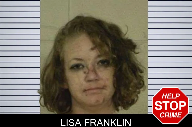 Lisa Franklin Mugshots
