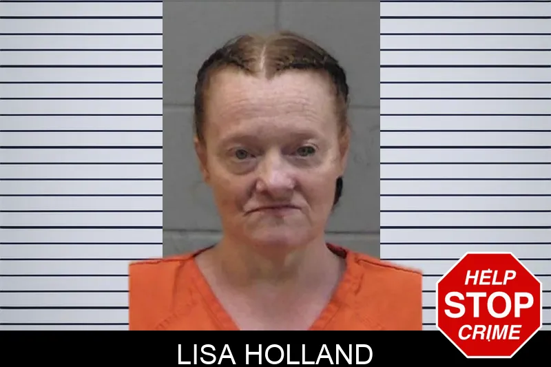 Lisa Holland mugshot
