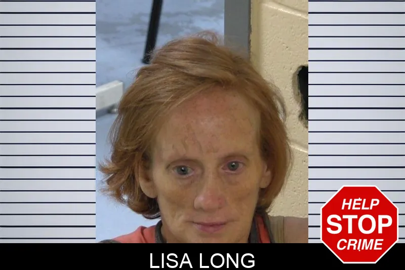 Lisa Long Mugshots