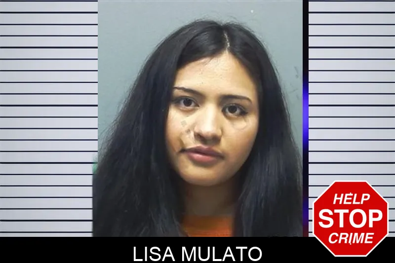 Lisa Mulato Mugshots