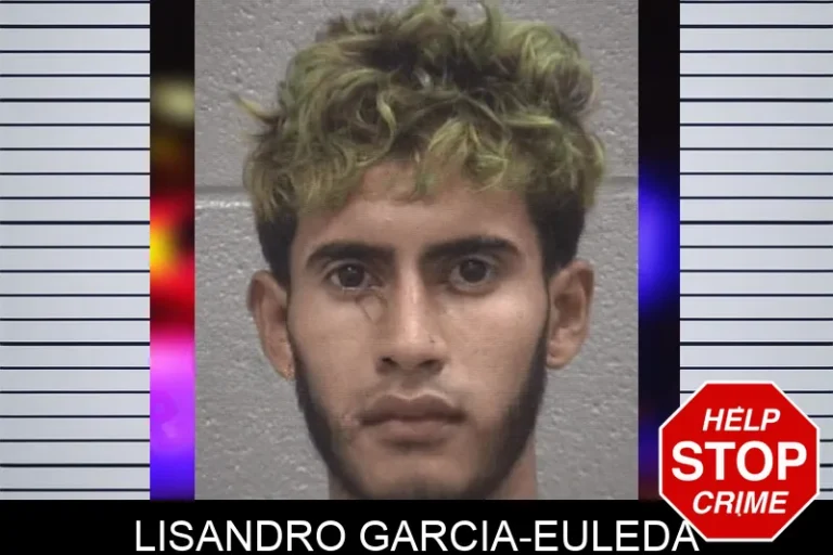 Lisandro Garcia-Euleda