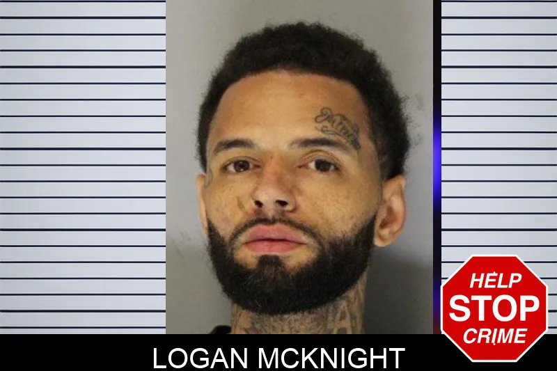 Logan McKnight mugshot – Hall County , Georgia Logan McKnight mugshot