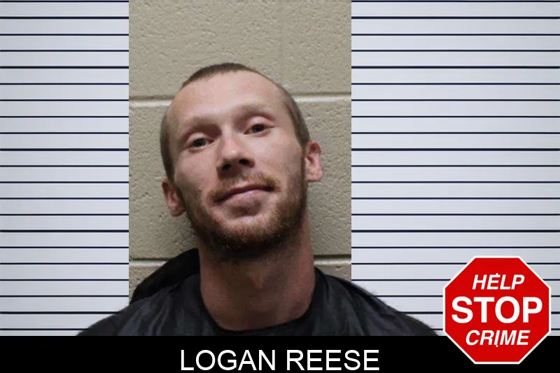 Logan Reese mugshot – Haralson County , Georgia Logan Reese mugshot