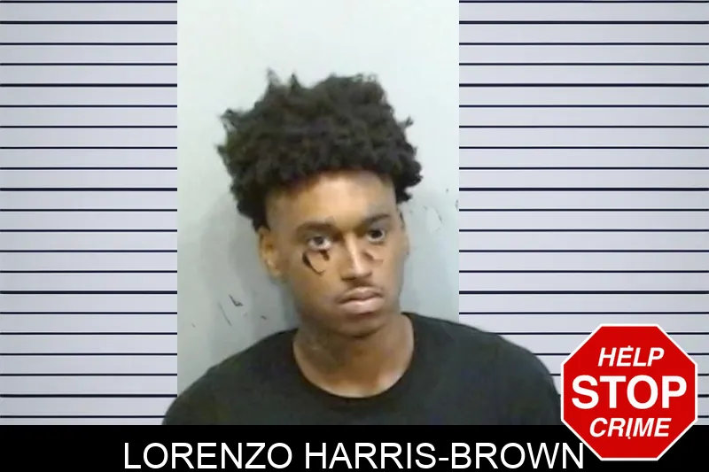 Lorenzo Harris-Brown mugshot – Fulton County , Georgia Lorenzo Harris-Brown mugshot