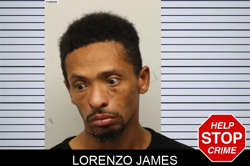 Lorenzo James mugshot – Chatham County , Georgia Lorenzo James mugshot