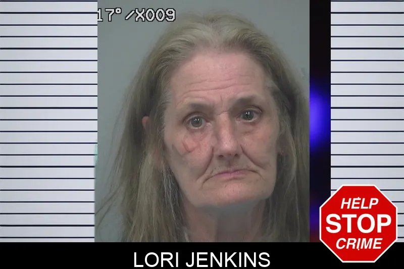 Lori Jenkins mugshot