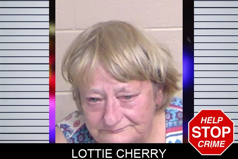 Lottie Cherry mugshot