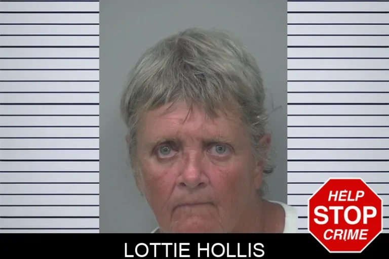 Lottie Hollis