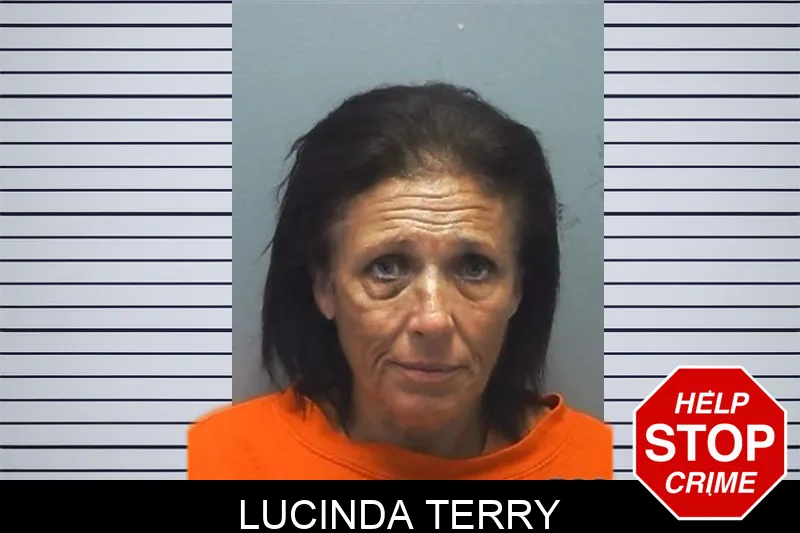 Lucinda Terry mugshot – Cherokee County , Georgia Lucinda Terry mugshot