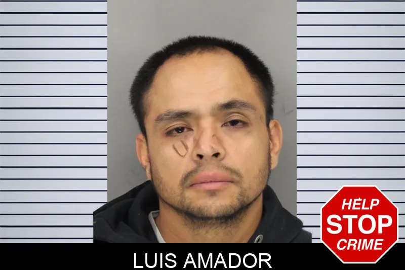 Luis Amador Mugshots