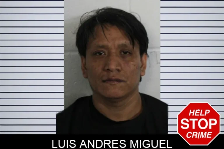 Luis Andres Miguel