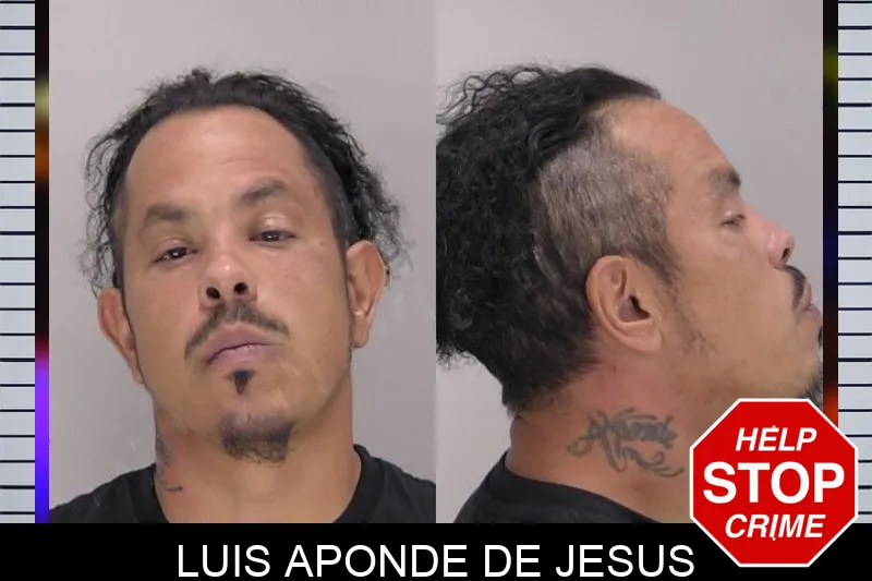 Luis Aponde De Jesus