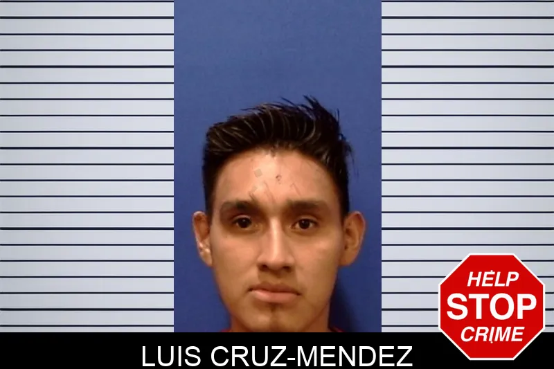 Luis Cruz-Mendez