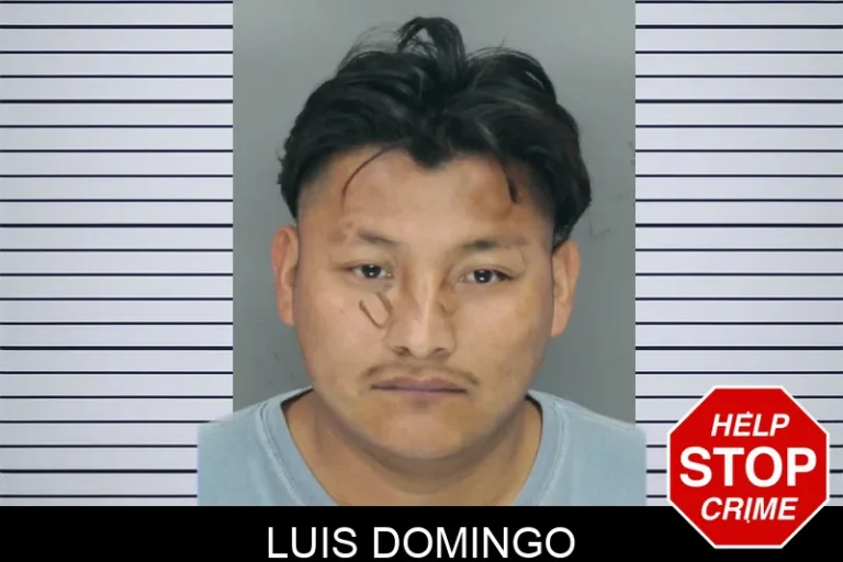 Luis Domingo