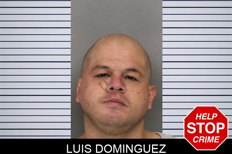 Luis Dominguez Mugshots