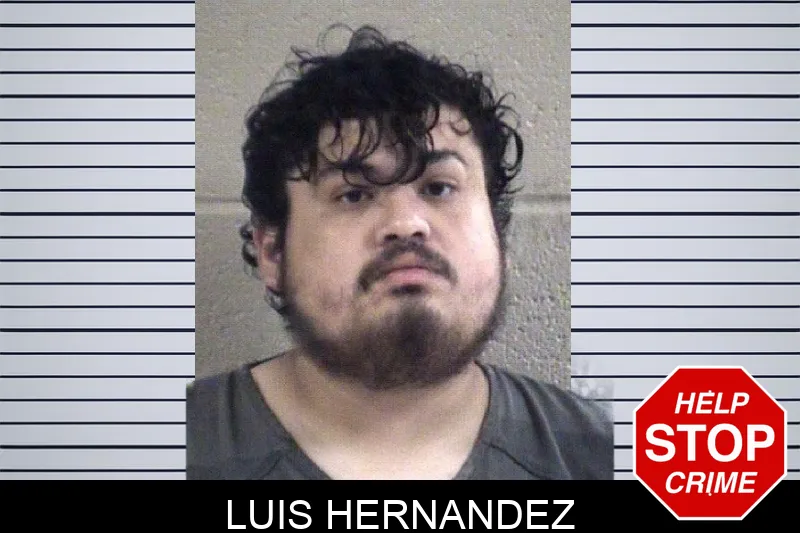 Luis Hernandez mugshot