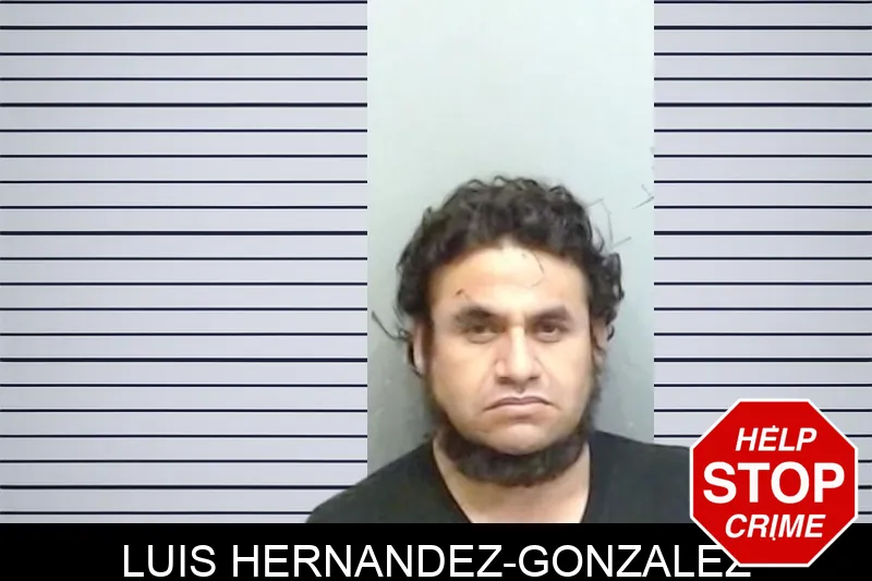 Luis Hernandez-Gonzalez