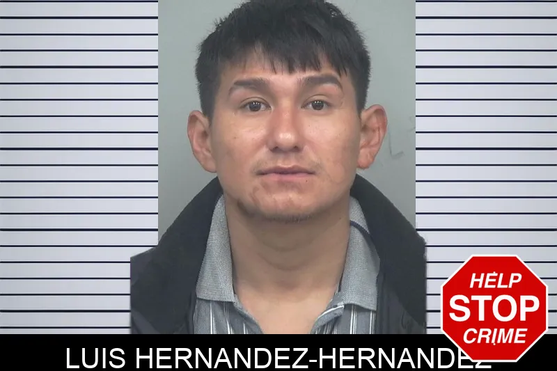 Luis Hernandez-Hernandez mugshot