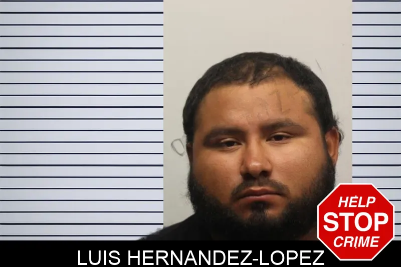 Luis Hernandez-Lopez mugshot