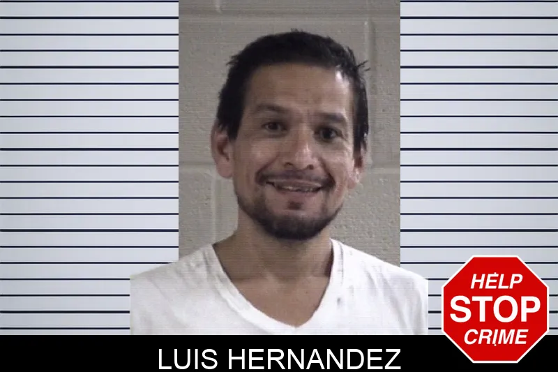Luis Hernandez Mugshots