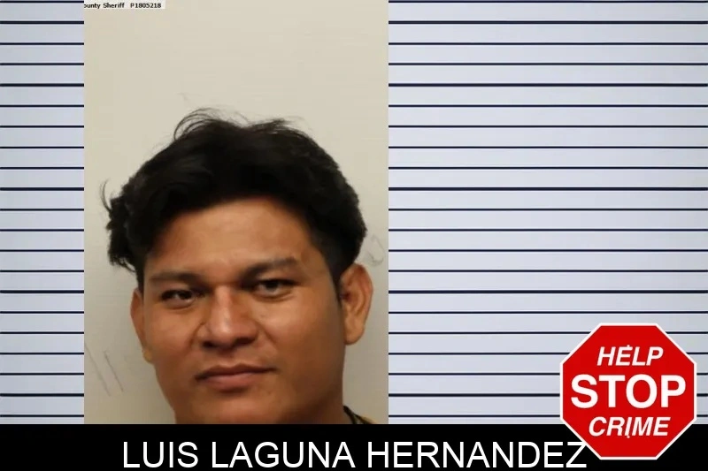 Luis Laguna Hernandez mugshot