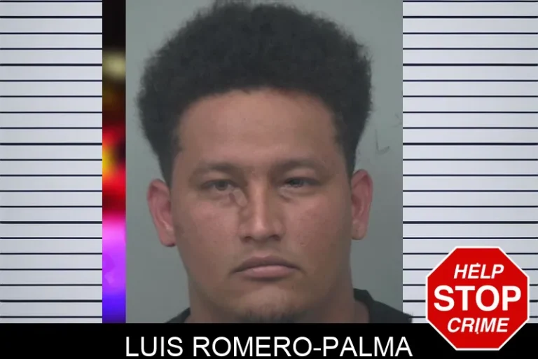 Luis Romero-Palma