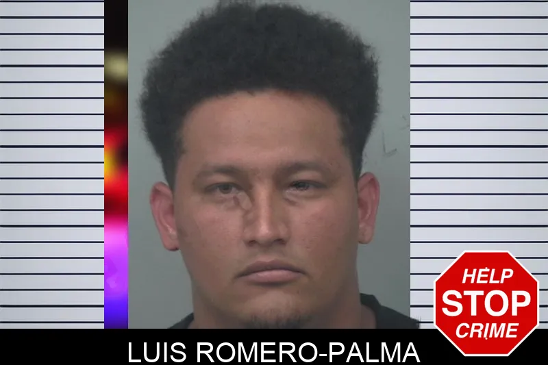 Luis Romero-Palma mugshot