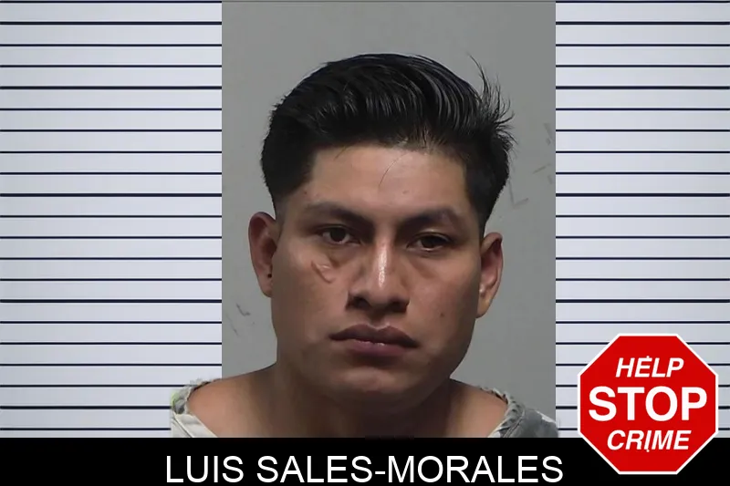 Luis Sales-Morales Mugshots