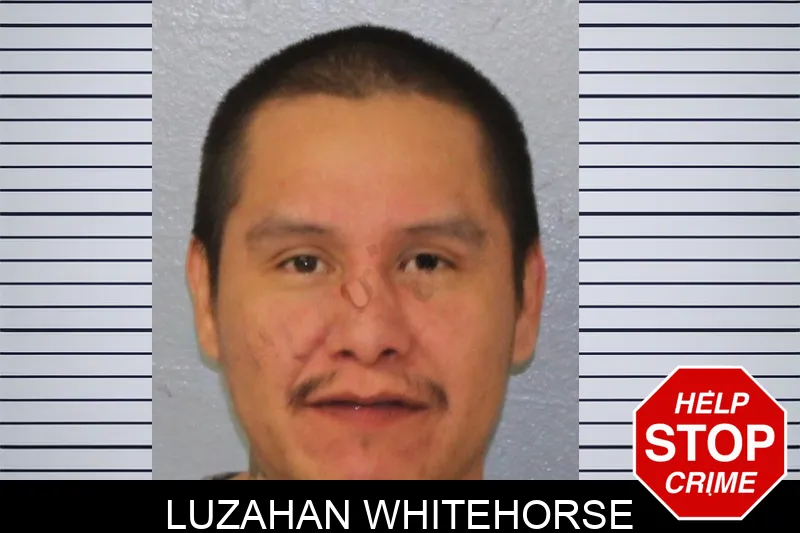 Luzahan Whitehorse
