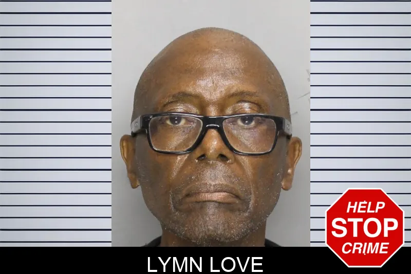 Lymn Love mugshot – Cobb County , Georgia Lymn Love mugshot