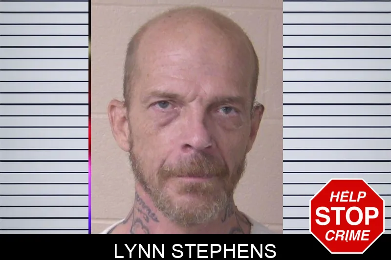 Lynn Stephens Mugshots