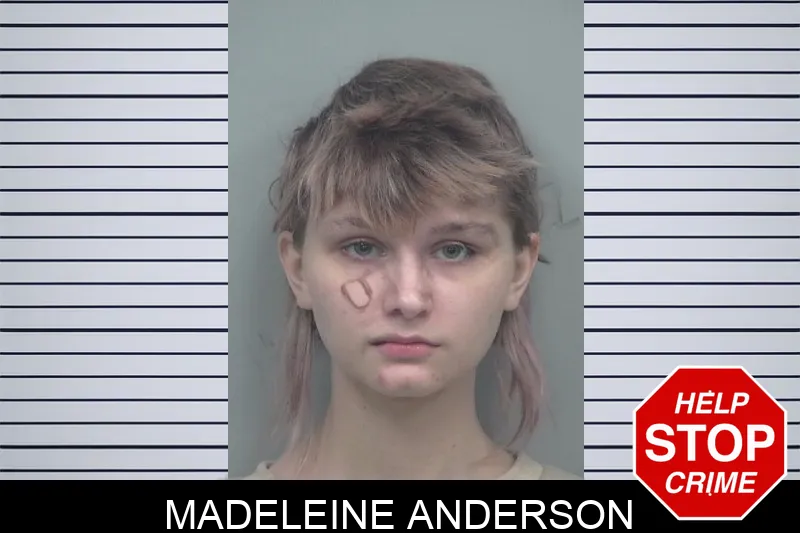 Madeleine Anderson Mugshots