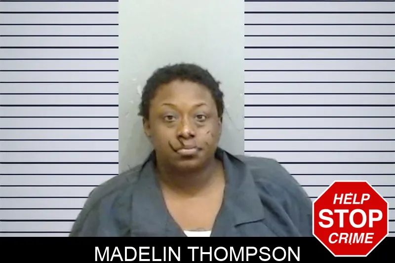 Madelin Thompson mugshot – Fulton County , Georgia Madelin Thompson mugshot
