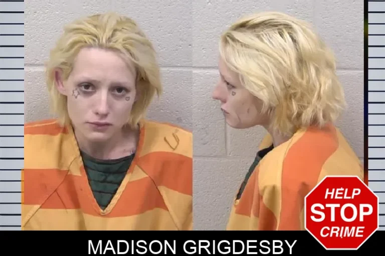 Madison Grigdesby mugshot – Paulding County , Georgia Madison Grigdesby