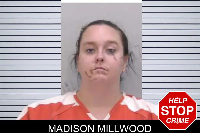 Madison Millwood mugshot