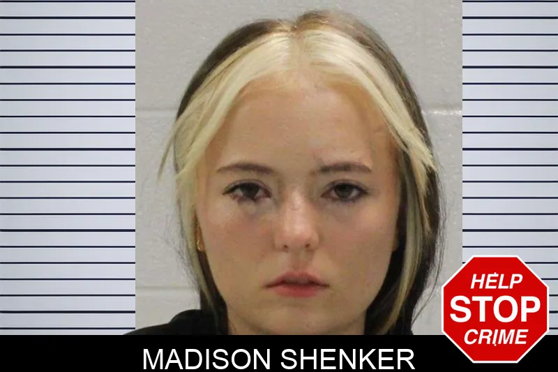 Madison Shenker mugshot – Carroll County , Georgia Madison Shenker mugshot