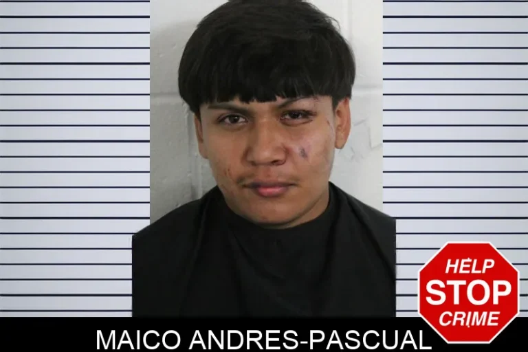 Maico Andres-Pascual