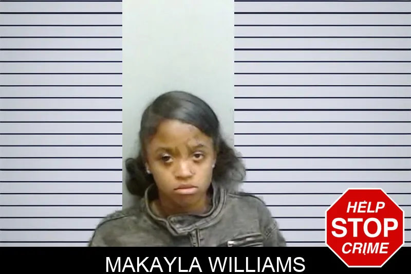 Makayla Williams mugshot – Fulton County , Georgia Makayla Williams mugshot