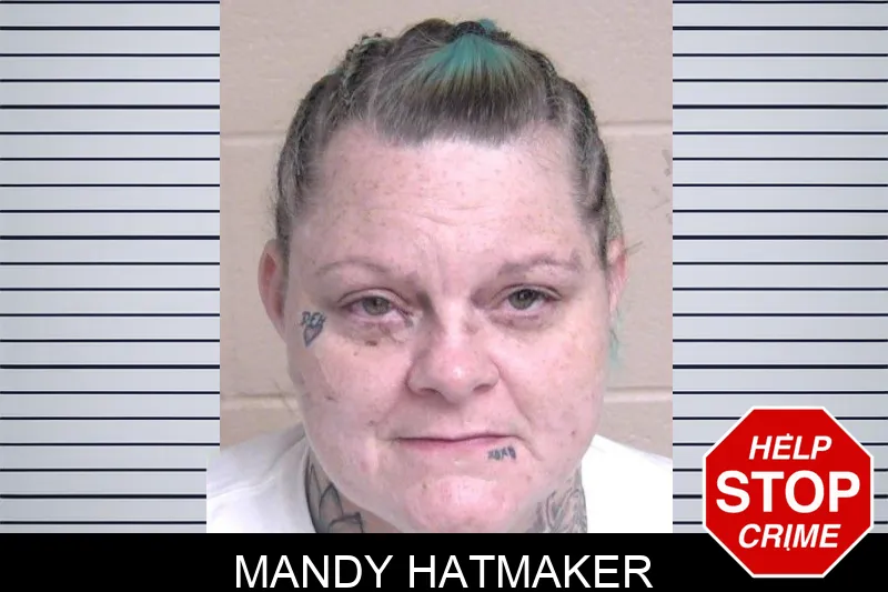 Mandy Hatmaker Mugshots