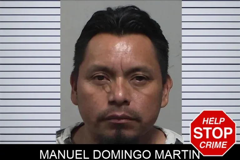 Manuel Domingo Martin