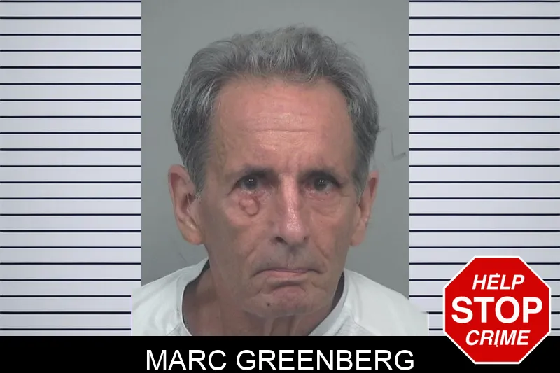 Marc Greenberg mugshot – Gwinnett County , Georgia Marc Greenberg mugshot